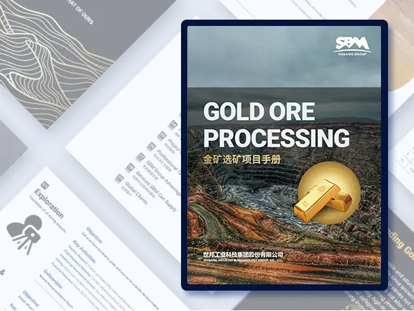 Gold Ore Beneficiation Process